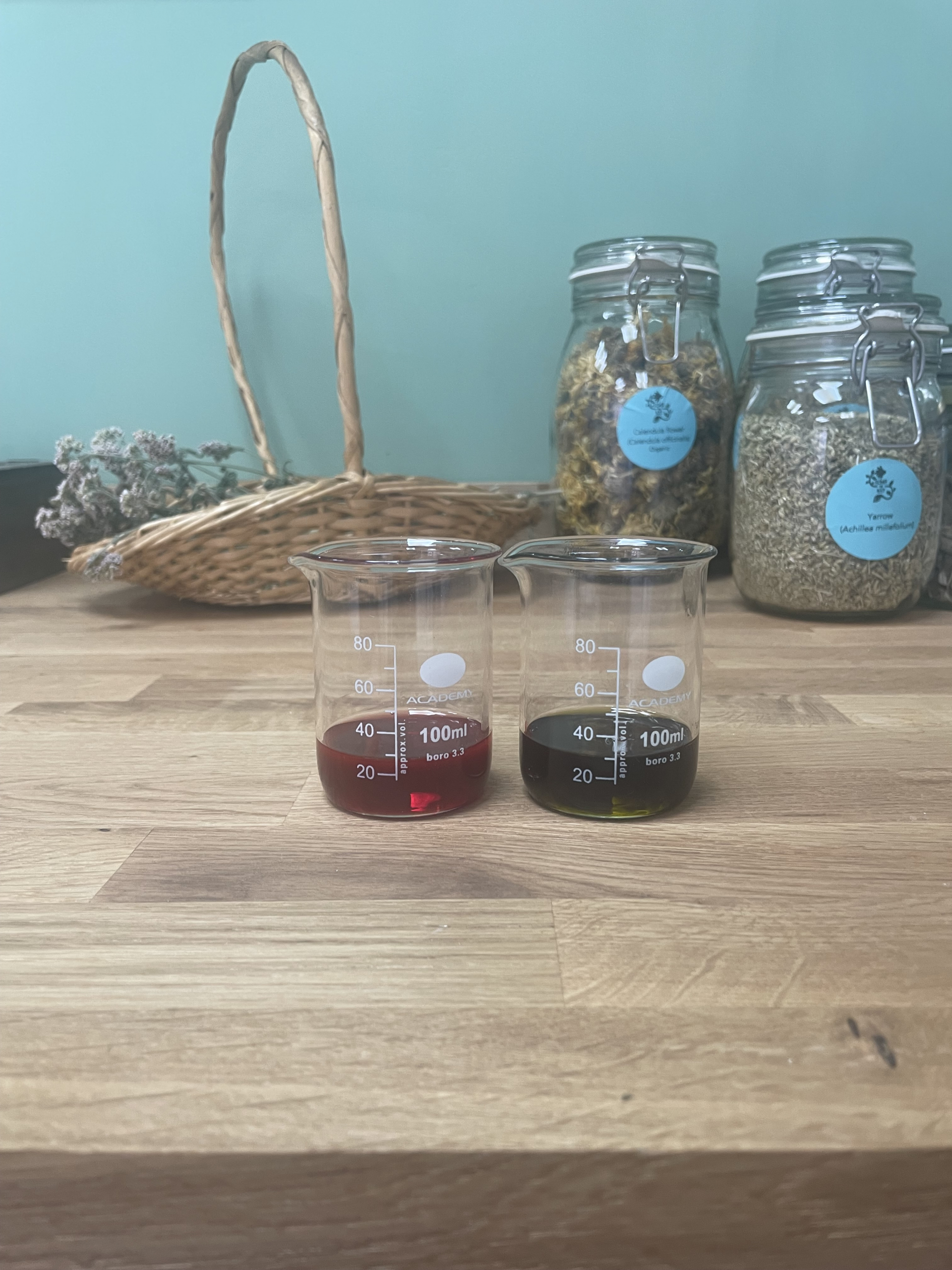 red hawthorns berries 