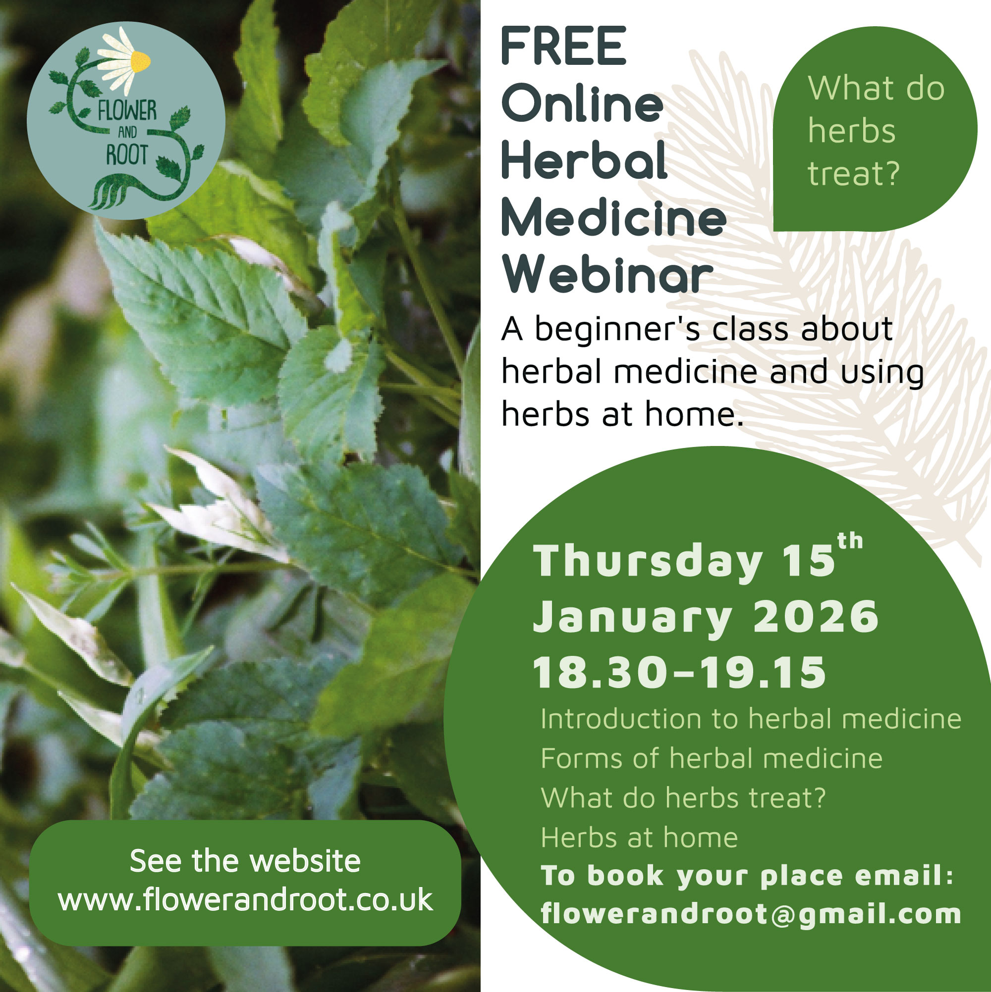 online-herbal-medicine