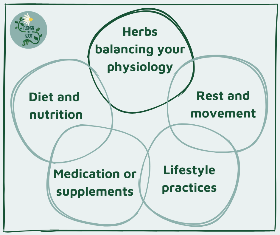 Five elements of health shown by five interlocking circles