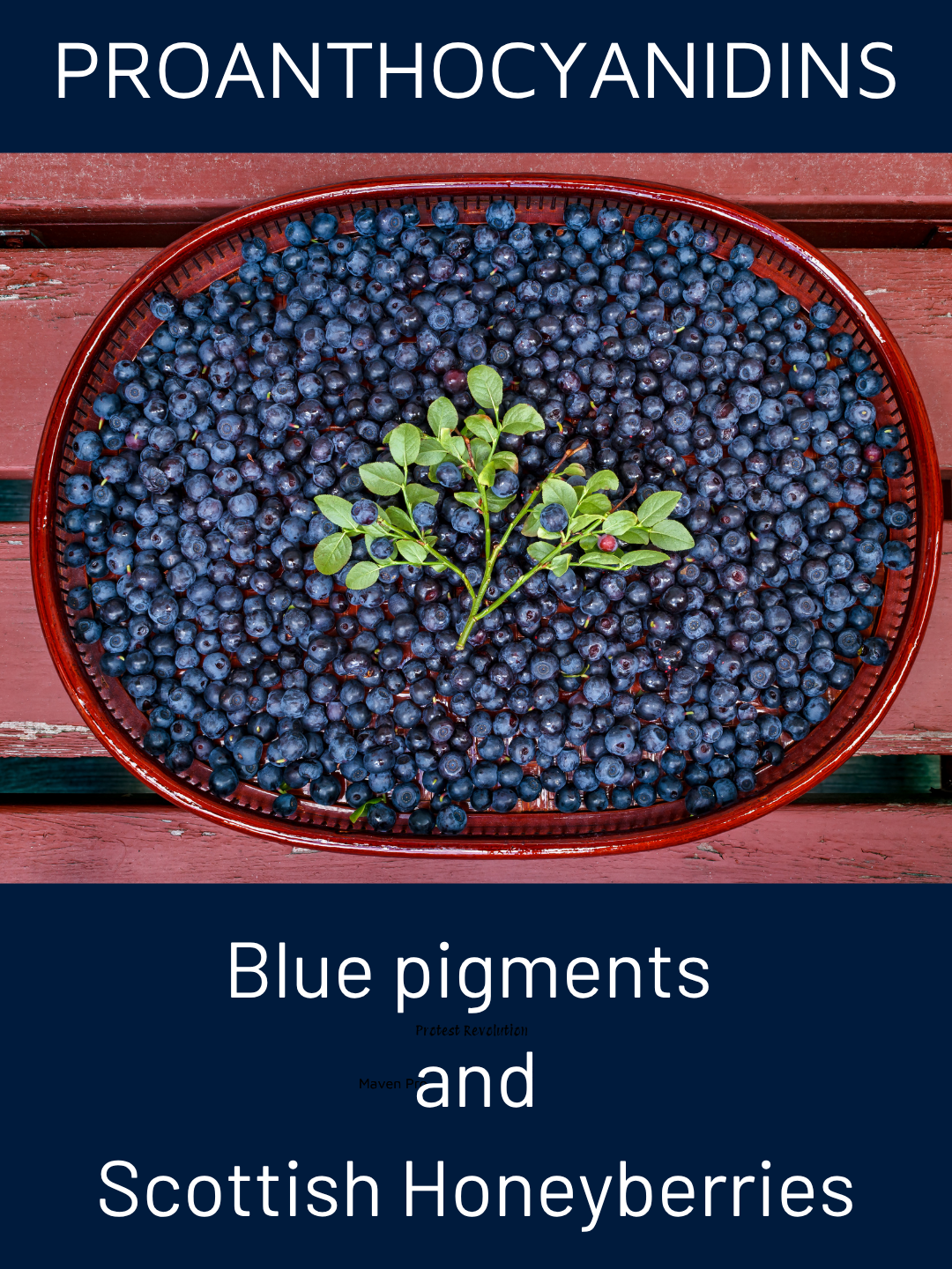 Large plate of bilberries